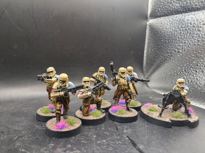 Star Wars Legion: Empire Shore Troopers Well Painted (AI071)