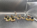 Middle-Earth SBG Hobbit Bundle Painted + extras (AJ080)