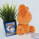 Pokemon Plush Toy - Teddiursa - Japanese Import - Banpresto Collectable