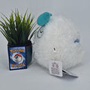 Pokemon Plush Toy - Darumaka - Japanese Import - Banpresto Collectable