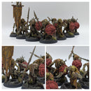 Warhammer Age of Sigmar: Orruk Warclans Gutrippaz - Well Painted (BJ139)