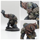 Warhammer Lord of the Rings: Hill Troll - Well Painted (BA008)