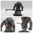 Warhammer Lord of the Rings: Metal Buhrdur - Well Painted (BJ044)