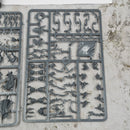 Warhammer the Old World Dark Elf Corsairs - in Box BD576