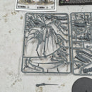 Warhammer Age of Sigmar Soulblight Gravelords Lauka Vai, Mother of Nightmares BD569