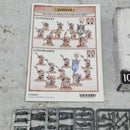 Warhammer Age of Sigmar Dwarfen Hammerers BD568