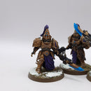 Warhammer 40k: Adeptus Custodes Custodian Wardens - Well Painted (AT234)