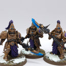 Warhammer 40k: Adeptus Custodes Custodian Wardens - Well Painted (AT234)