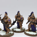 Warhammer 40k: Adeptus Custodes Custodian Wardens - Well Painted (AT234)