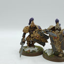 Warhammer 40k: Adeptus Custodes Custodian Guard - Well Painted (BJ104)