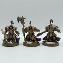 Warhammer 40k: Adeptus Custodes Allarus Custodians - Well Painted (AD139)