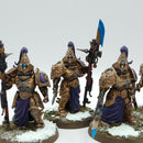 Warhammer 40k: Adeptus Custodes Custodian Wardens - Well Painted (BA012)