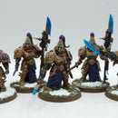 Warhammer 40k: Adeptus Custodes Custodian Wardens - Well Painted (BA012)