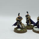 Warhammer 40k: Adeptus Custodes Witchseeker Squad - Well Painted (AJ065)