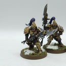 Warhammer 40k: Adeptus Custodes Custodian Guard - Well Painted (BJ044)