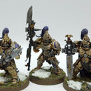 Warhammer 40k: Adeptus Custodes Custodian Guard - Well Painted (BJ044)