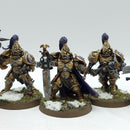 Warhammer 40k: Adeptus Custodes Custodian Guard - Well Painted (BJ044)