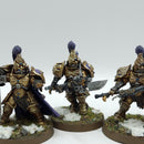 Warhammer 40k: Adeptus Custodes Custodian Guard - Well Painted (BJ044)