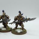 Warhammer 40k: Adeptus Custodes Custodian Guard - Well Painted (BJ044)