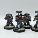 Warhammer 40k: Space Marines Space Wolves Old Blood Claws - Well Painted (BJ028)