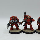 Warhammer Horus Heresy: Space Marines Blood Angels Tactical Squad (AW176)
