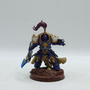 Warhammer 40k: Adeptus Custodes Allarus Custodians - Well Painted (AD010)