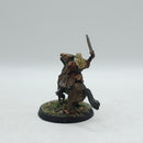 Warhammer Lord of the Rings: Rohan Metal Theodred - Painted (BA154)