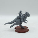 Star Wars Legion: Rebel Alliance Tauntaun Riders (AW030)