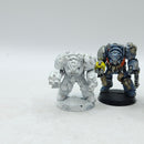 Warhammer 40k: Space Marine Metal Space Wolves Terminators (AO034)