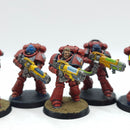 Warhammer 40k: Space Marines Blood Angels Hellblasters - Well Painted (AI214)