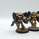 Warhammer 40k: Space Marines Blood Angels Sanguinary Guard Old (BA077)