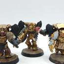 Warhammer 40k: Space Marines Blood Angels Sanguinary Guard Old (BA077)