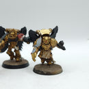 Warhammer 40k: Space Marines Blood Angels Sanguinary Guard Old (BA077)