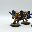 Warhammer 40k: Space Marines Blood Angels Sanguinary Guard Old (BI047)