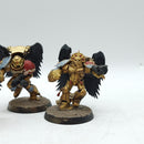 Warhammer 40k: Space Marines Blood Angels Sanguinary Guard Old (BI047)