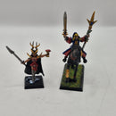 Warhammer the Old World Dark Elves Sorcerer and Death Hag AZ141