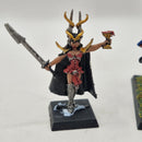 Warhammer the Old World Dark Elves Sorcerer and Death Hag AZ141
