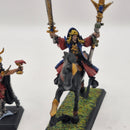 Warhammer the Old World Dark Elves Sorcerer and Death Hag AZ141