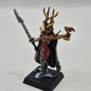 Warhammer the Old World Dark Elves Sorcerer and Death Hag AZ141