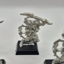Warhammer the Old World Dark Elves Witch Elves x5 - Metal AJ050