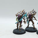 Warhammer Age of Sigmar: Sylvaneth Tree-Revenants (AJ063)