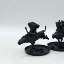 Warhammer Lord of the Rings: Isengard Metal Warg Riders (AW048)