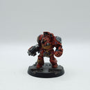 Warhammer 40k: Space Marines Space Hulk Terminator Brother Omnio OOP - Well Painted (AD257)