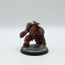 Warhammer 40k: Space Marines Space Hulk Terminator Brother Scipio OOP - Well Painted (AD254)
