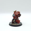 Warhammer 40k: Space Marines Space Hulk Terminator Brother Scipio OOP - Well Painted (AD254)