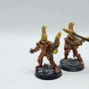 Warhammer 40k: Aeldari Finecast Fire Dragons (BC110)