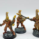 Warhammer 40k: Aeldari Finecast Fire Dragons (BC110)