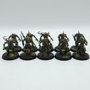 Warhammer Age of Sigmar: Maggotkin of Nurgle Plaguebearers - Well Painted (AD157)