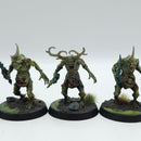 Warhammer Age of Sigmar: Maggotkin of Nurgle Plaguebearers - Well Painted (AD157)