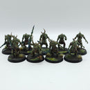 Warhammer Age of Sigmar: Maggotkin of Nurgle Plaguebearers - Well Painted (AD186)